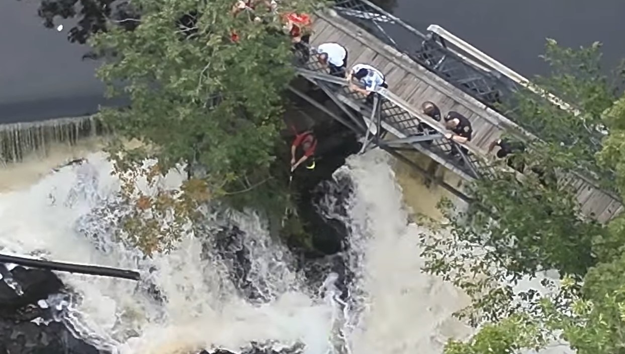 firefighters saving a dog