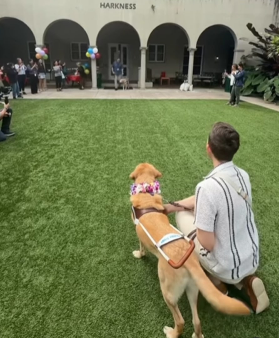 guide dog and man