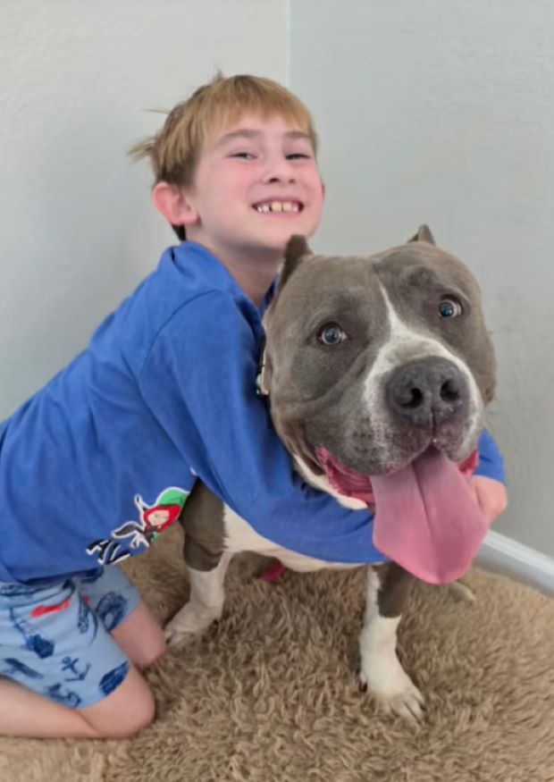 kid hugging a dog