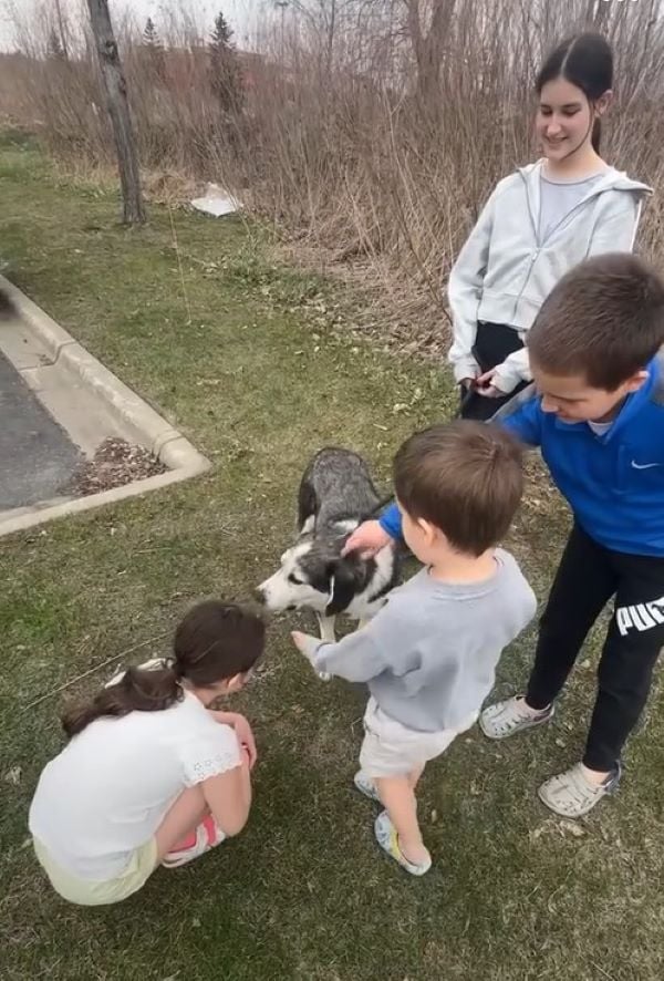 kids and dog