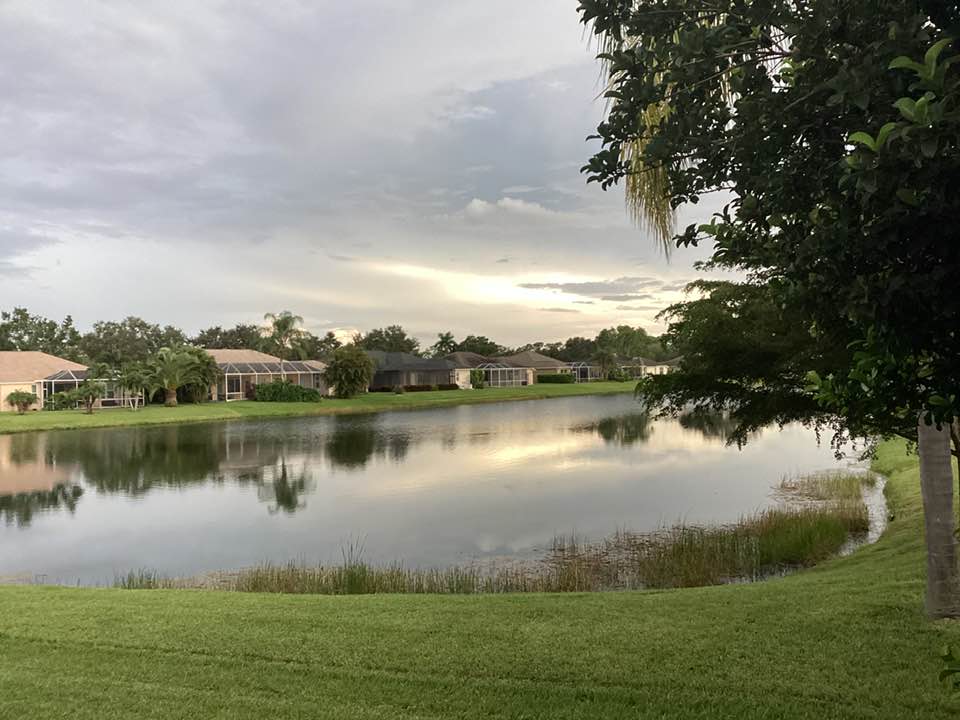 lake and houses