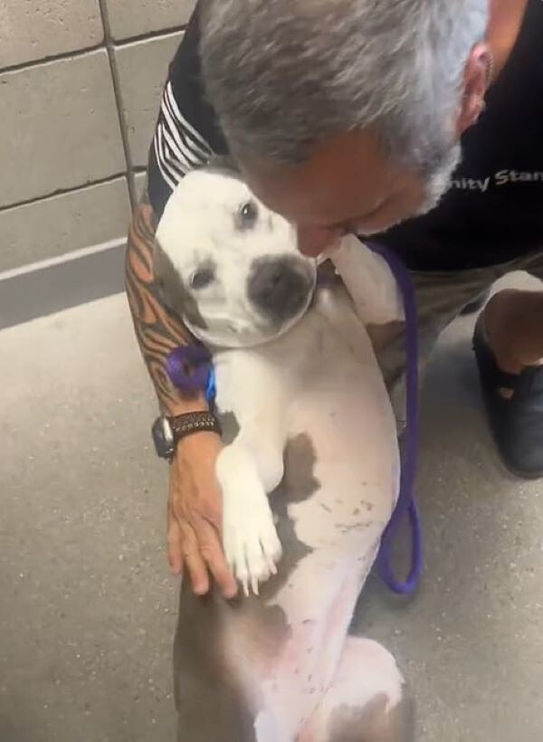 man and senior dog