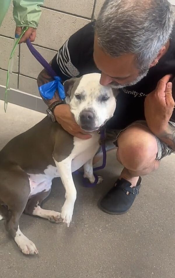 old man and dog