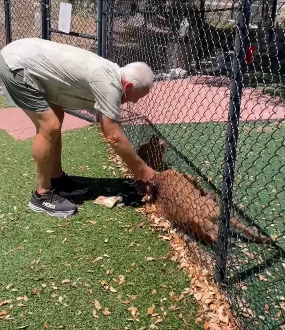 old man and shelter dog