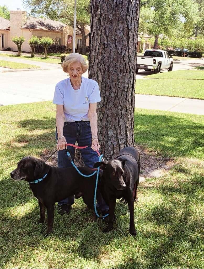 old woman and black dogs