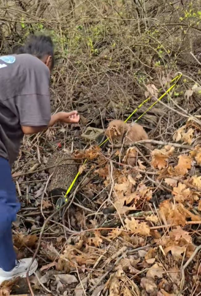 owner and dog in forest