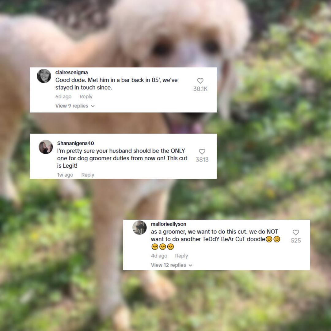 tiktok comments