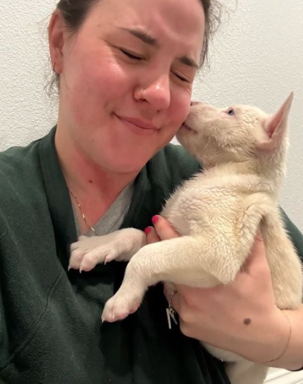 white puppy kissing a woman