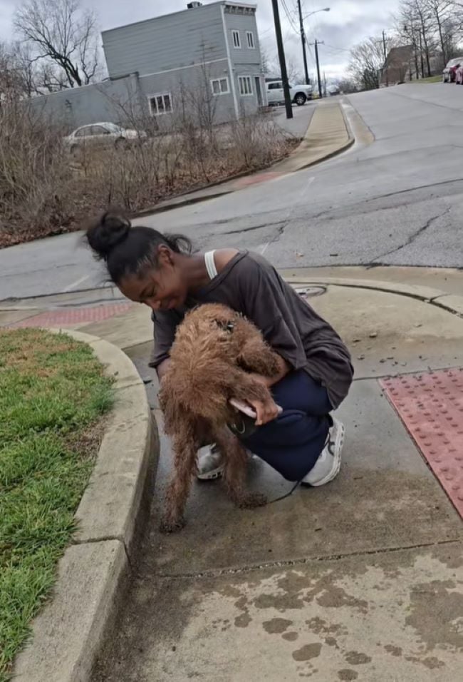 woman and brown dog on street