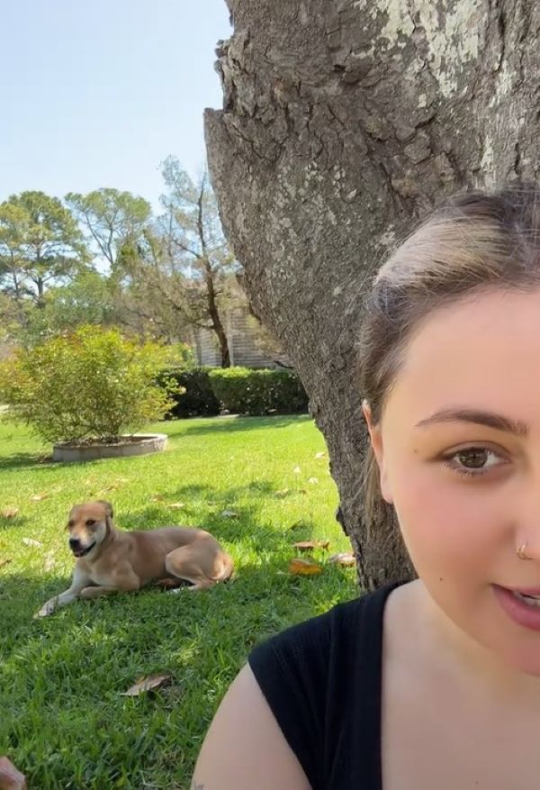 woman and brown dog