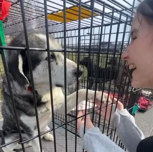 woman and dog in crate
