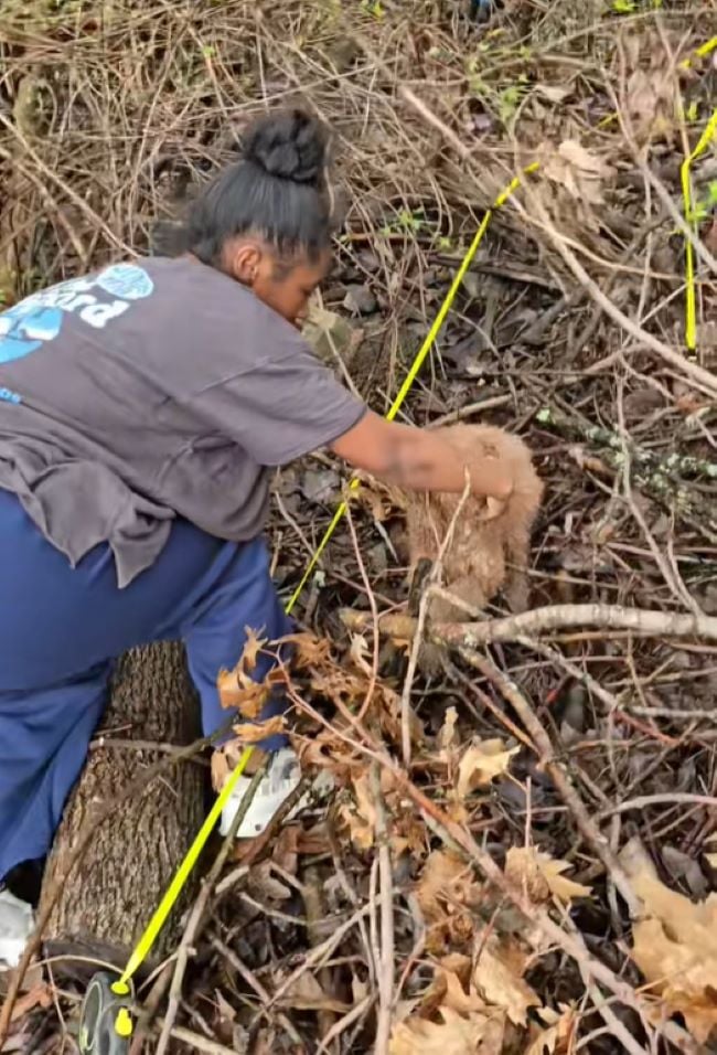 woman and stuck dog in forest