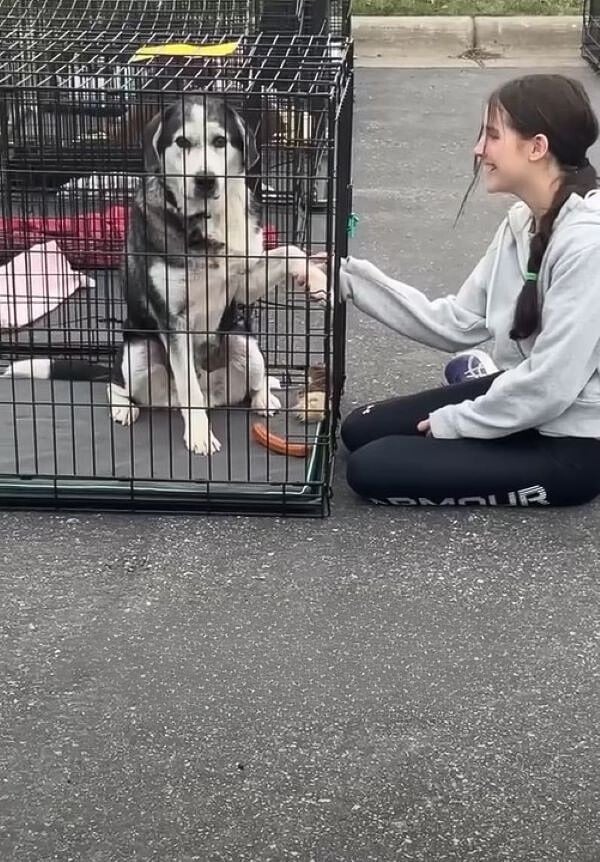 woman and sweet dog