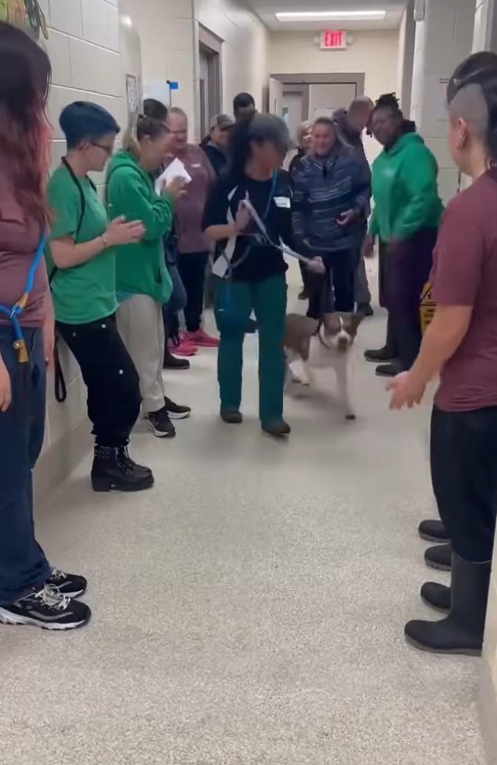 woman walking a sweet dog