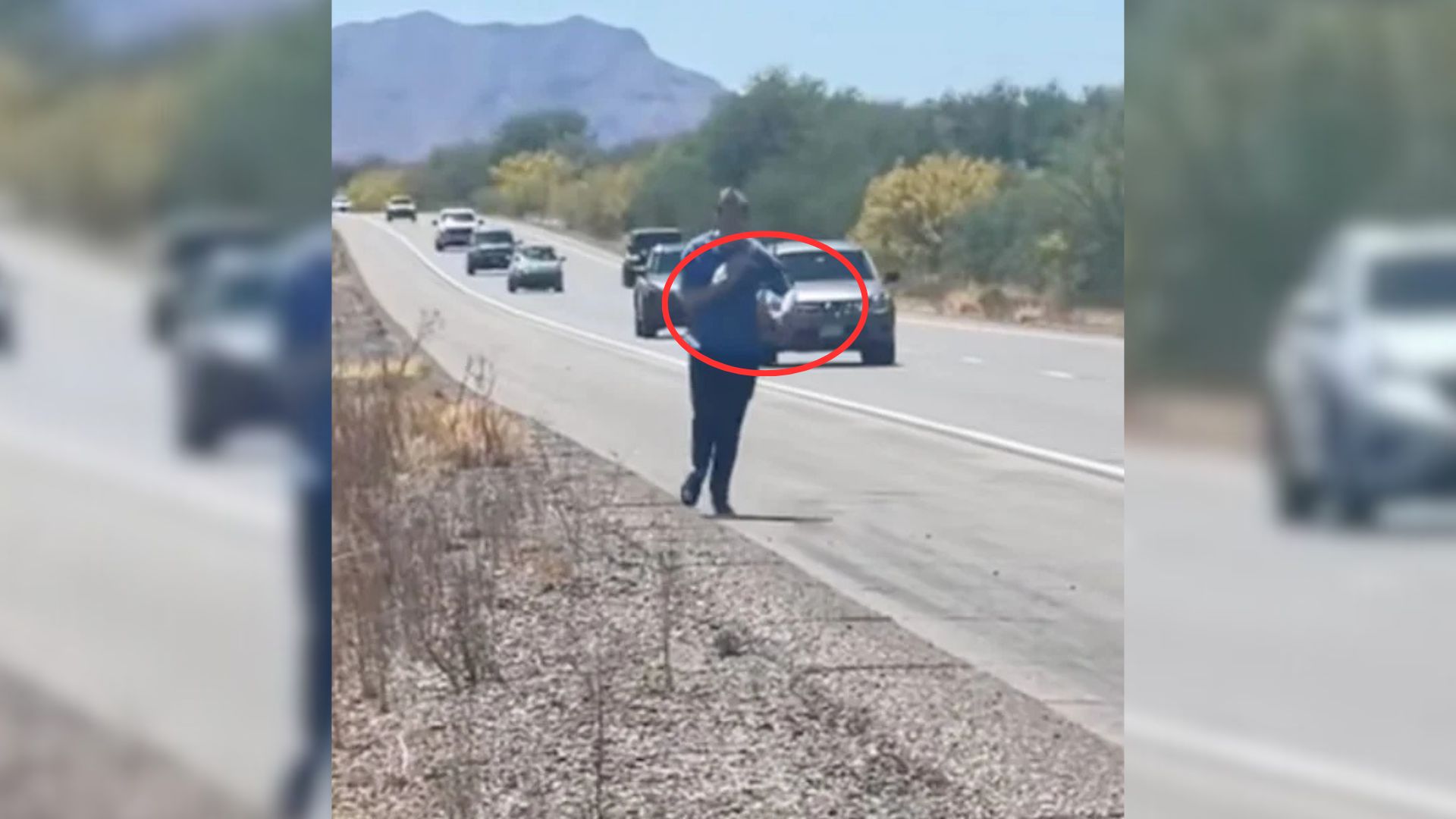 Couple From California Spots Something Fluffy On The Side Of A Road And Rushes To Investigate