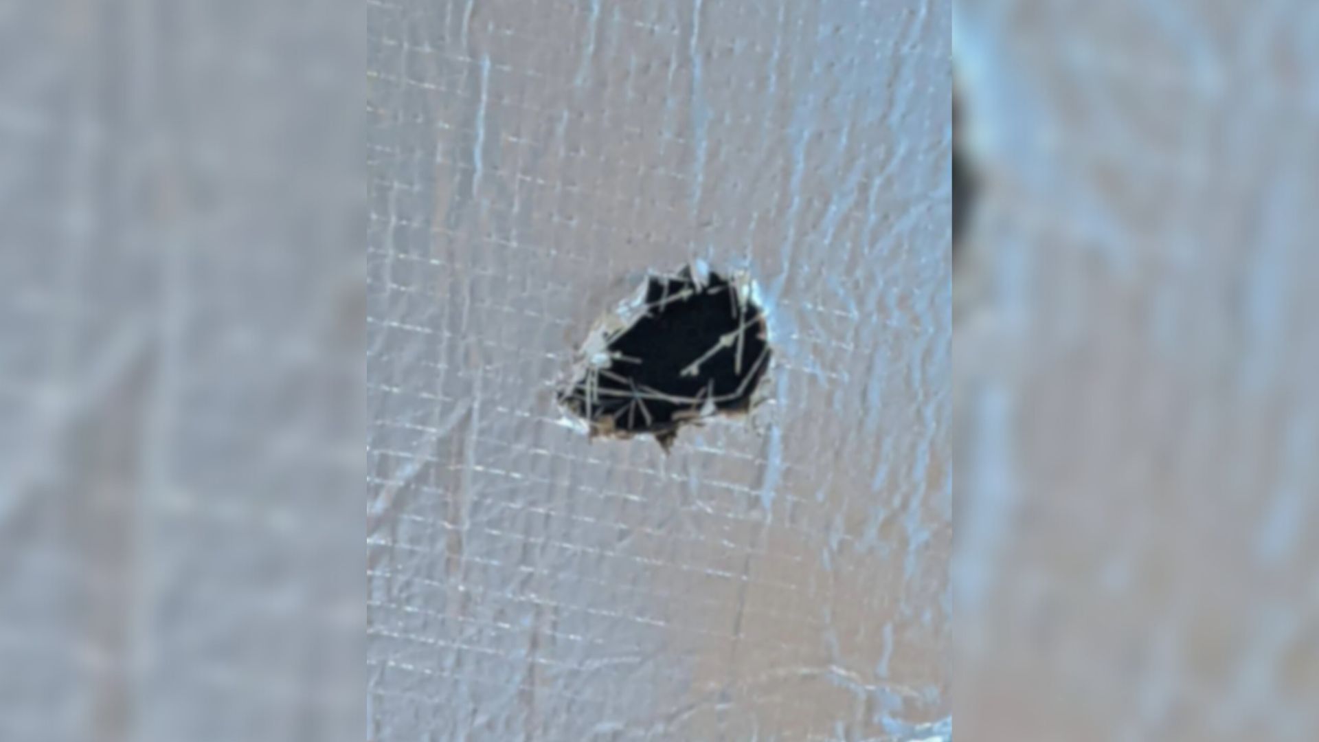 Florida Construction Workers Saw Something Fluffy Hiding In The Air Vents Only To Be Shocked By A Realization