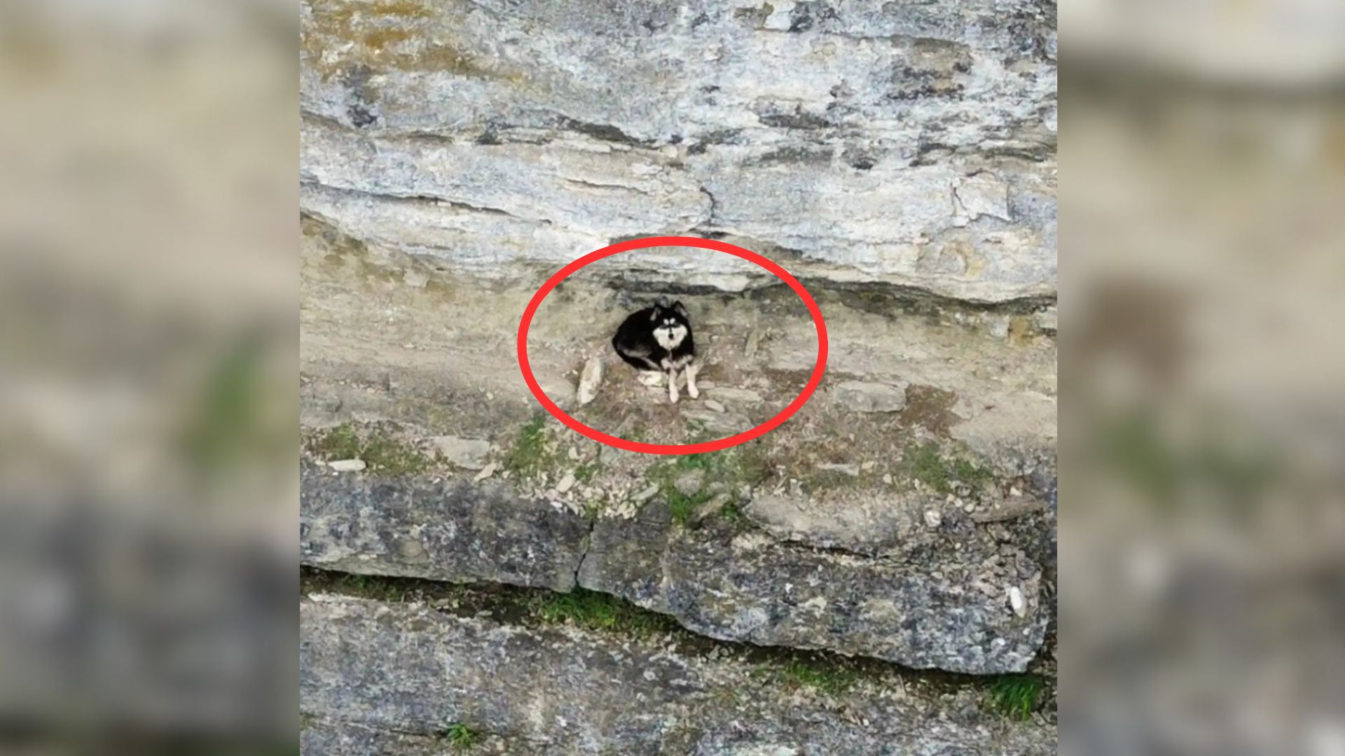 Kentucky Woman Sees A Tiny Speck On A Cliff, Only To Realize It Is Something Much More