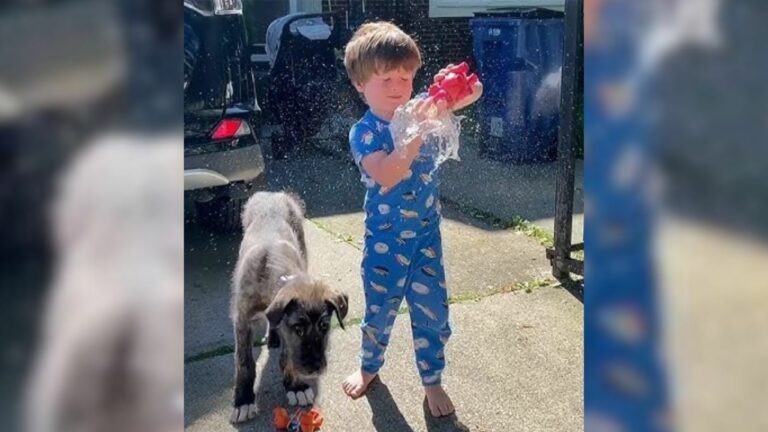 boy and dog