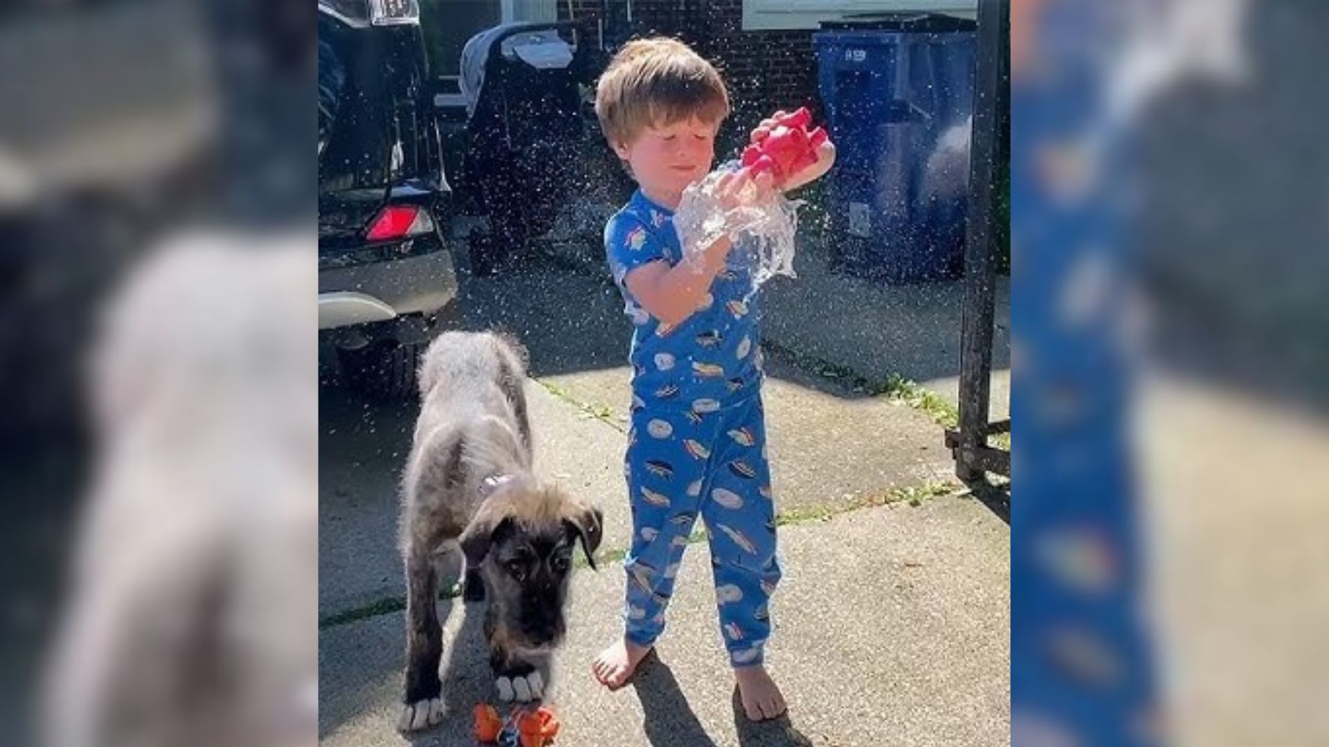 boy and dog