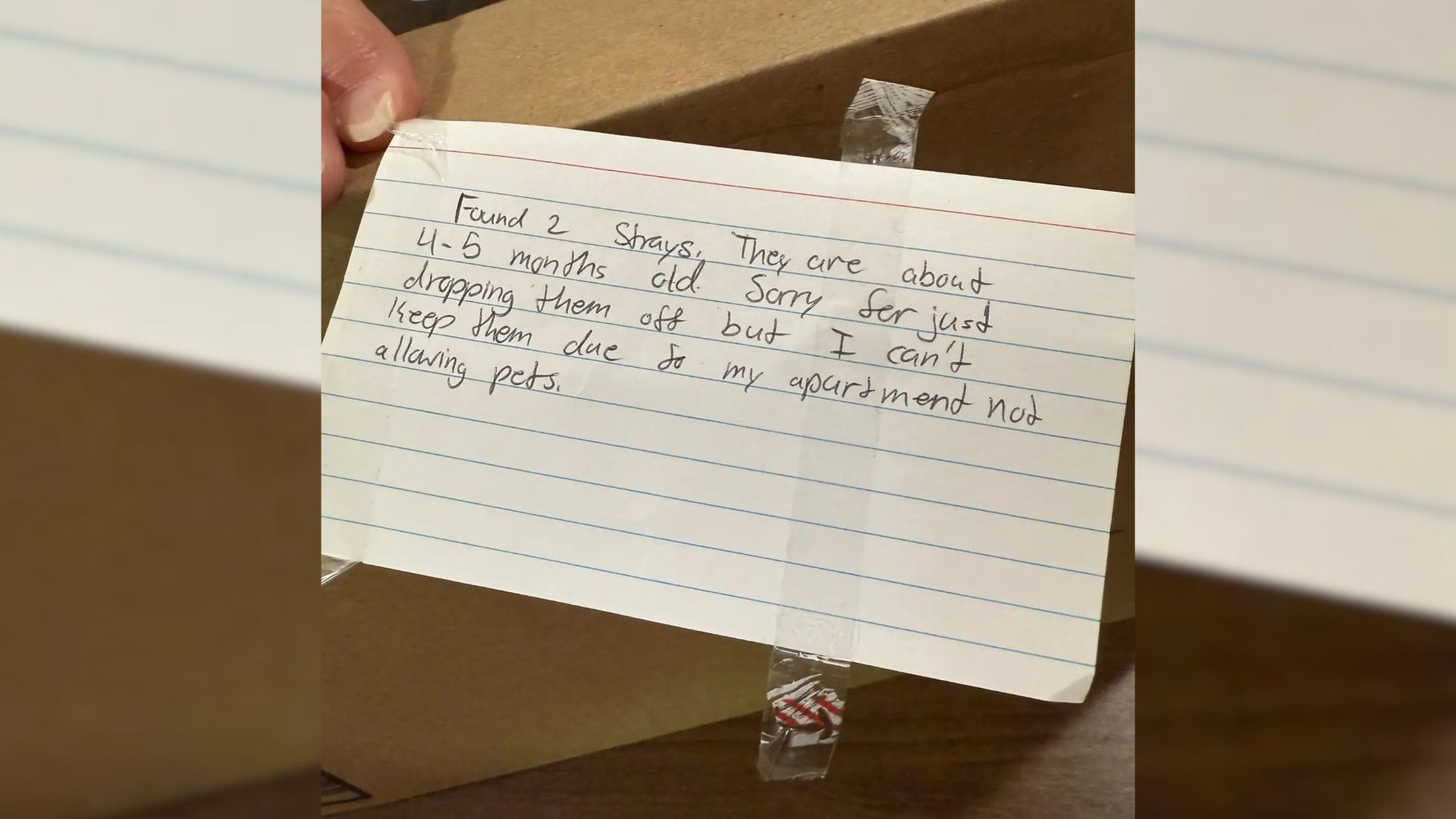 Missouri Volunteer Comes Across A Mysterious Taped Up Box With A Note And Makes A Harrowing Discovery