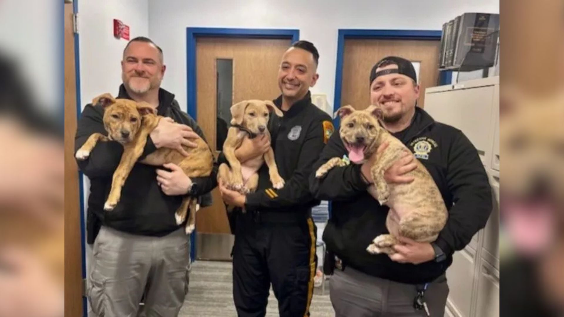 New Jersey Police Officers Were Shocked When A Man Surrendered 8 Puppies In A Bucket At The Station