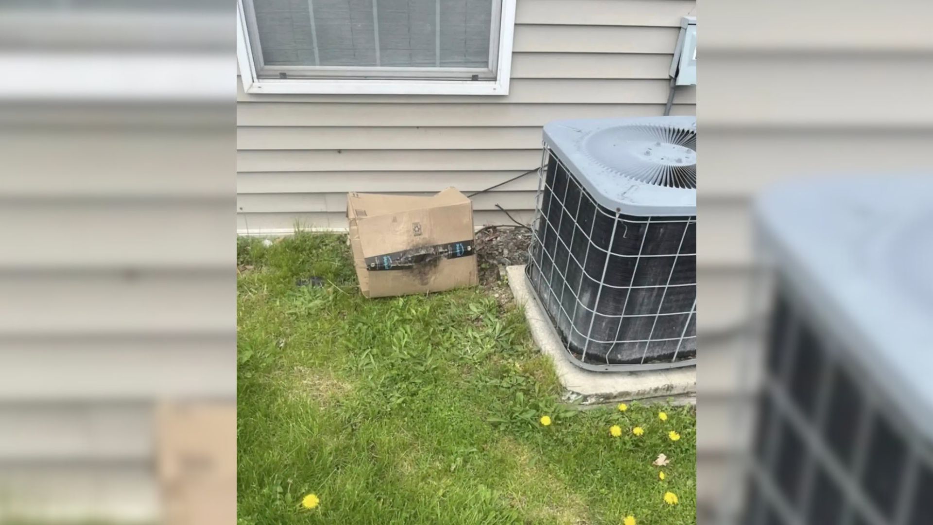 New York Passerby Sees A Moving Amazon Box In The Parking Lot, Its Contents Break Hearts