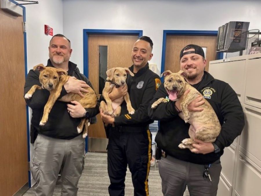 Officers holding a puppies