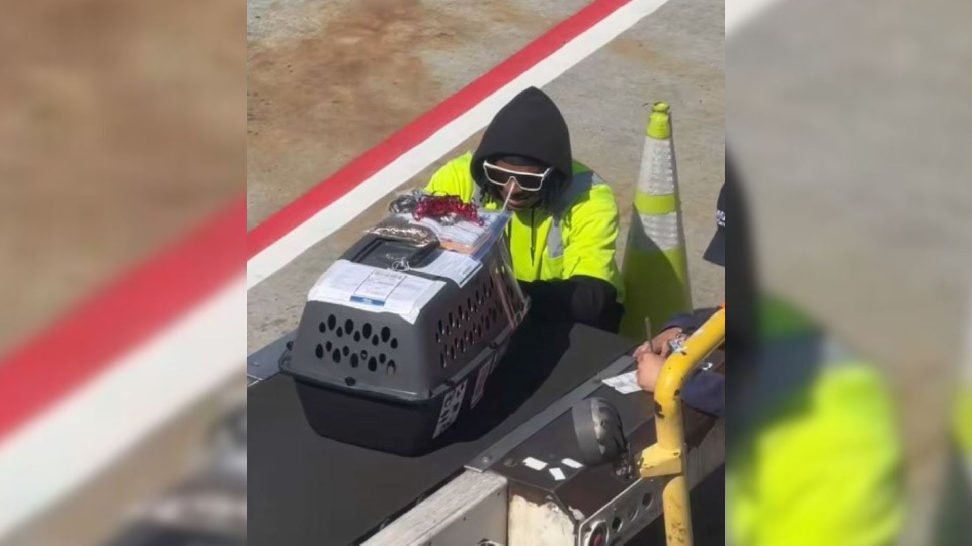 Witness The Reaction Of Washington Airport Workers After Realizing What Was Inside This Small Kennel