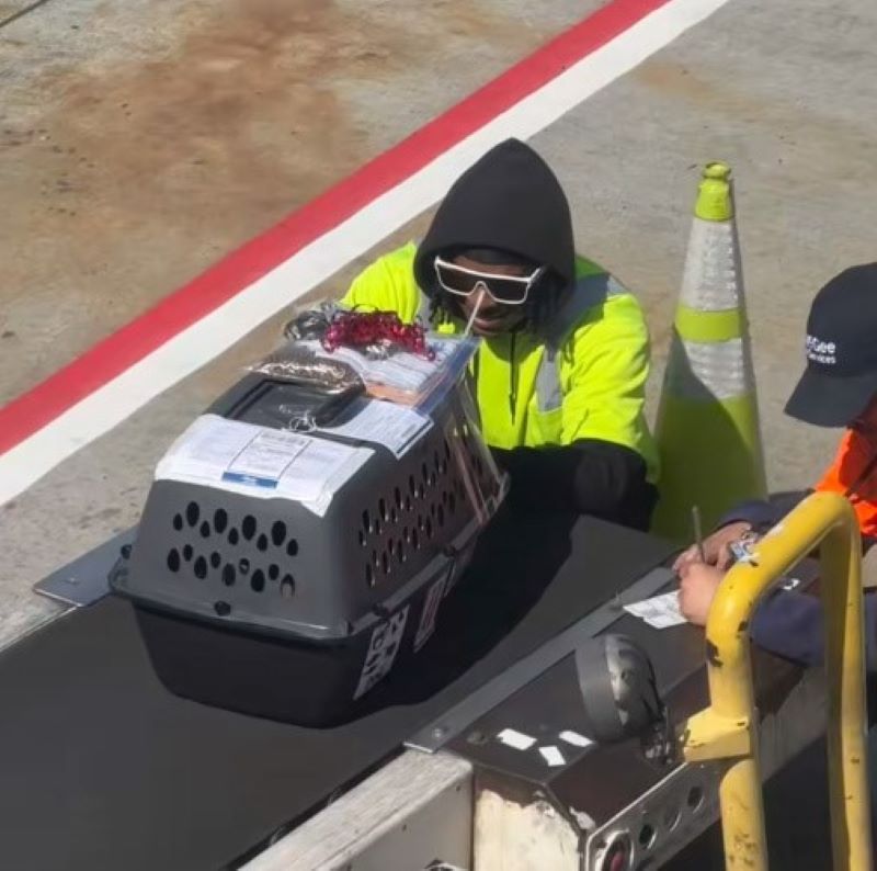 airport worker