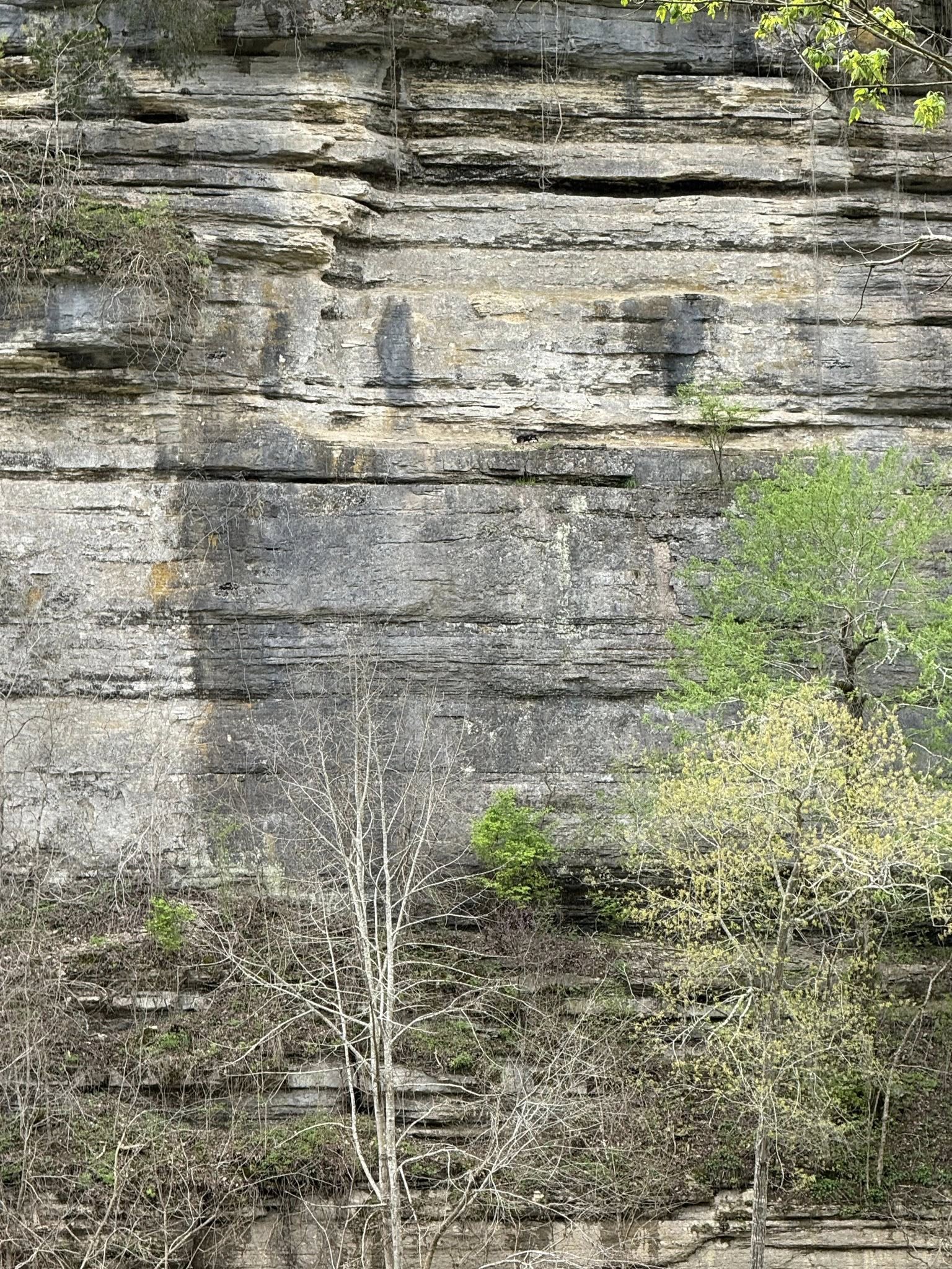 big cliff