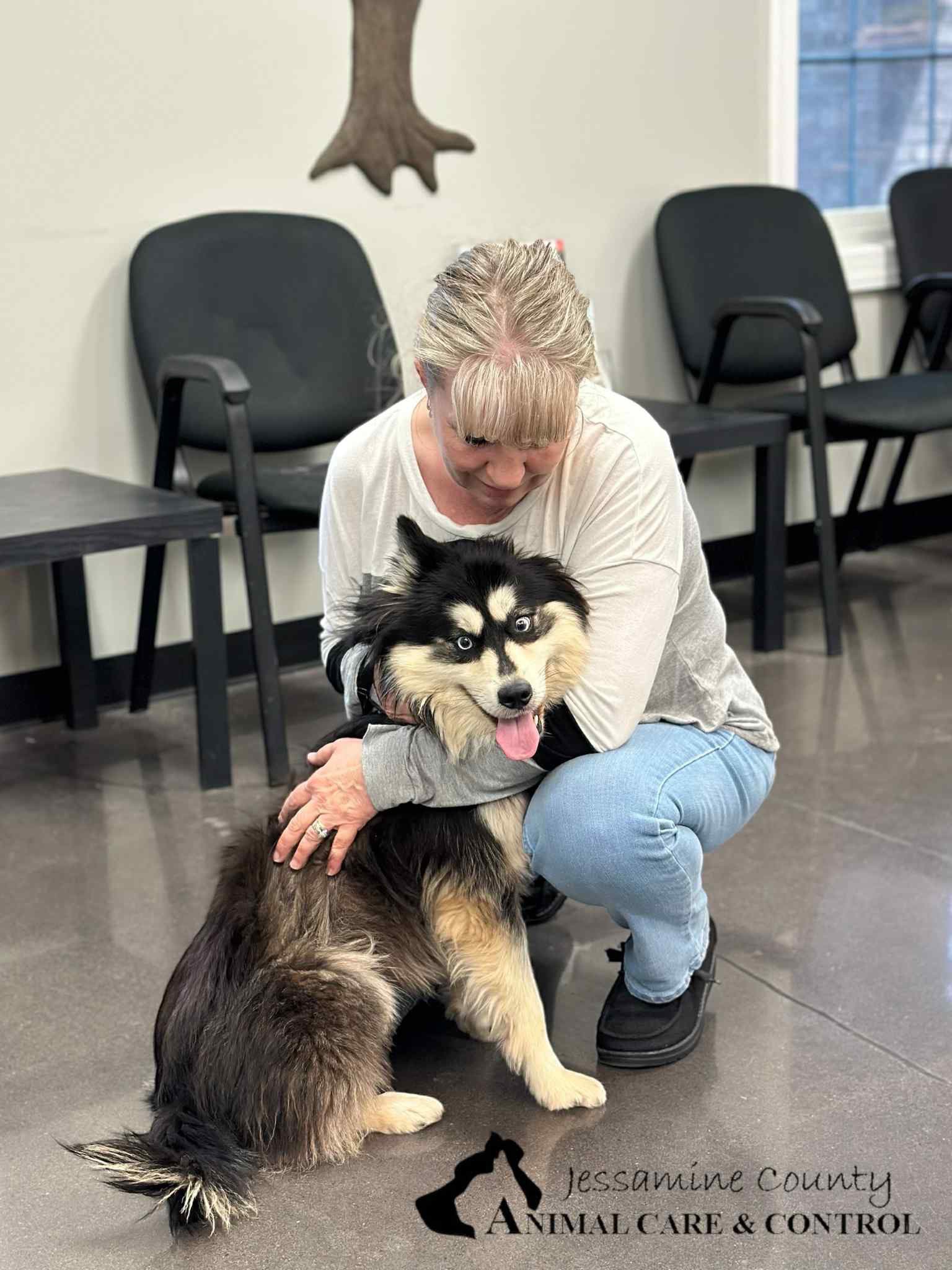 blonde woman and dog