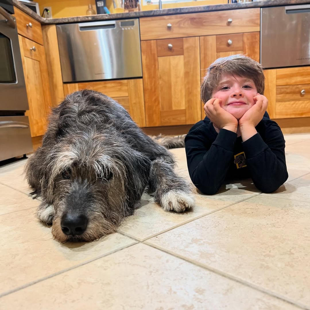 boy and dog