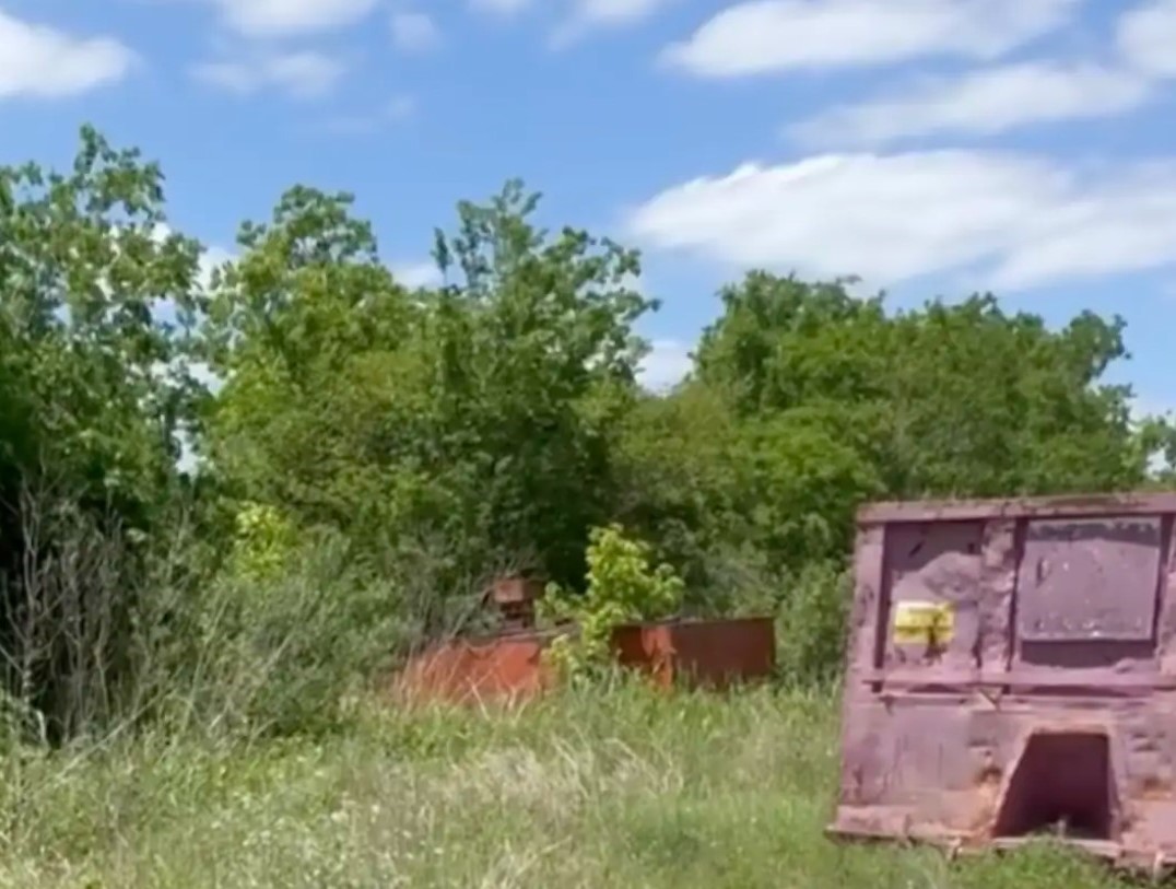 containers in nature
