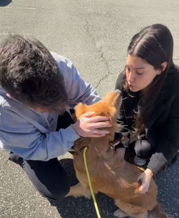 couple and adopted dog