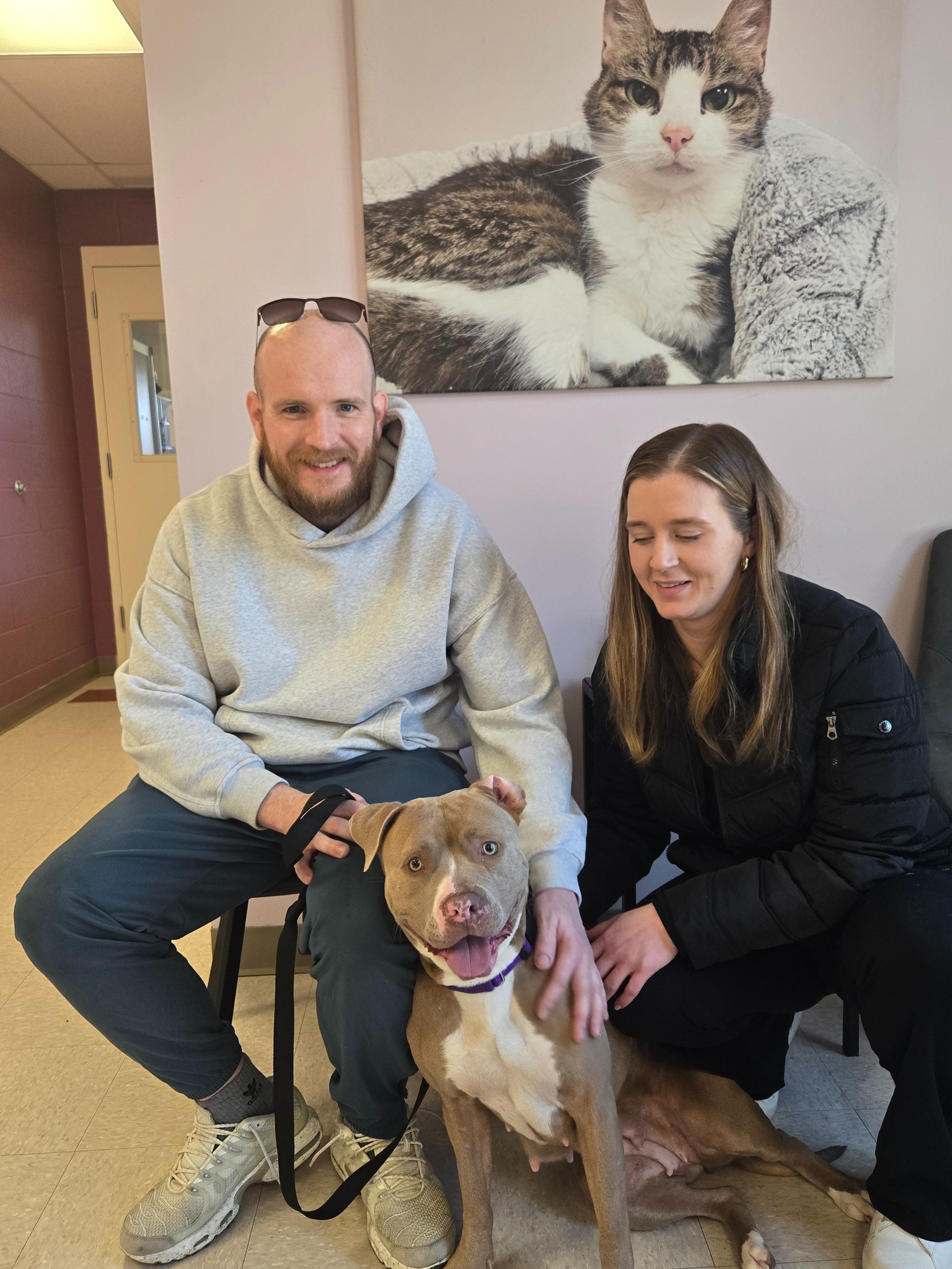 couple and senior dog