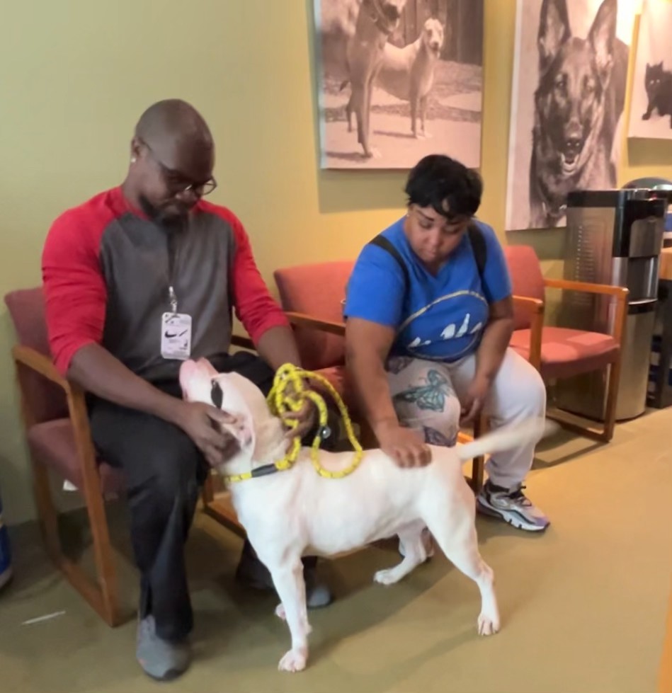 couple and white dog