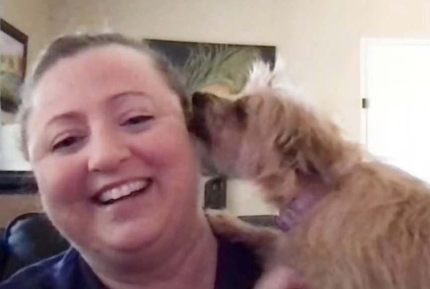 dog kissing an owner
