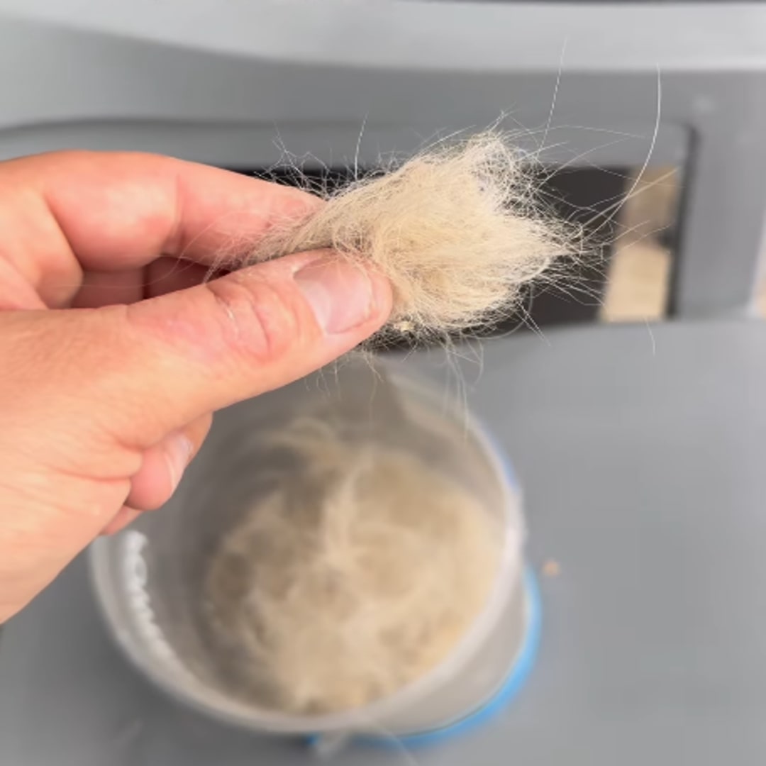 dogs fur