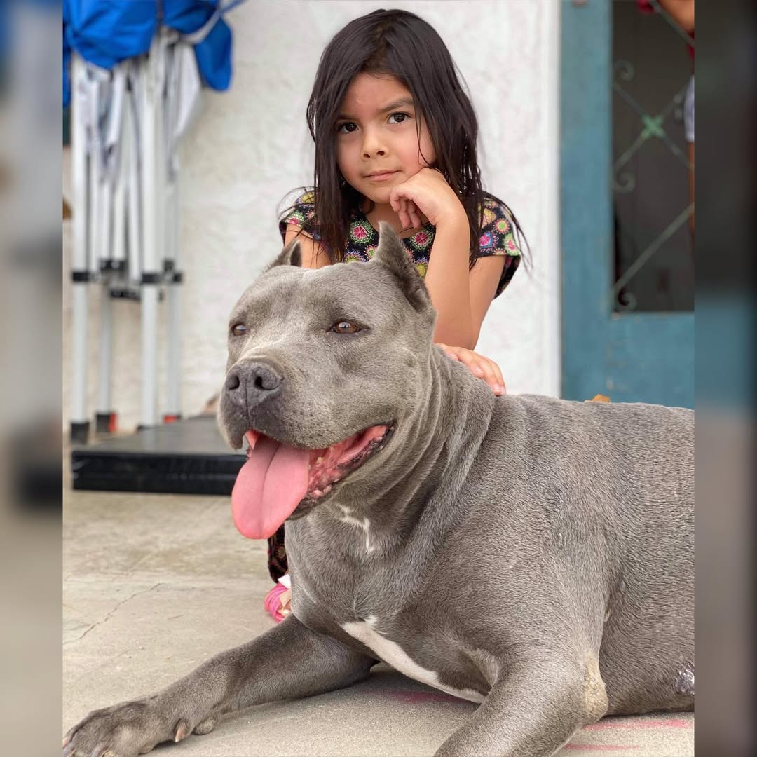 kid and black dog