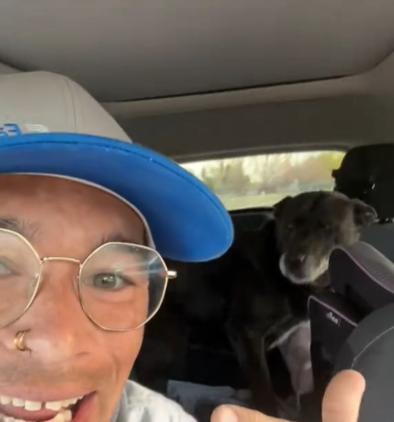 man and dog in car