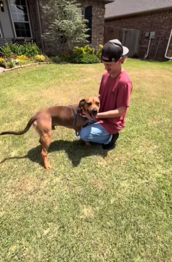 man and his brown dog