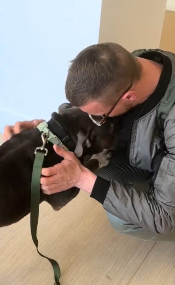 man and his pit bull