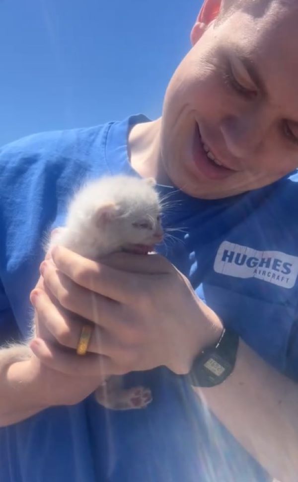 man and newborn kitten