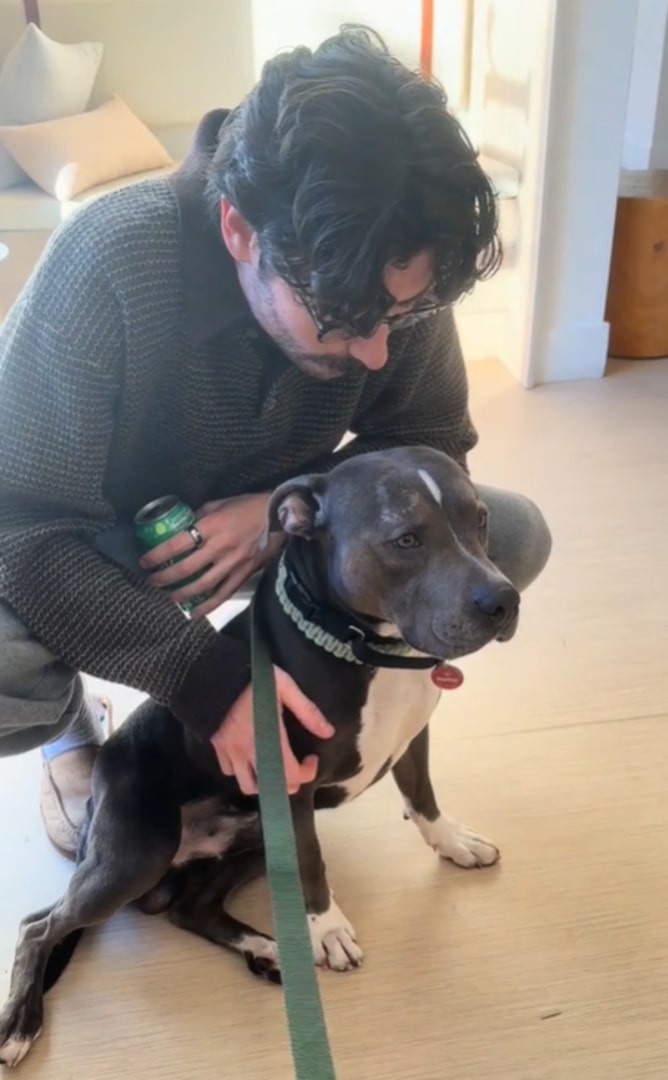 man and pit bull