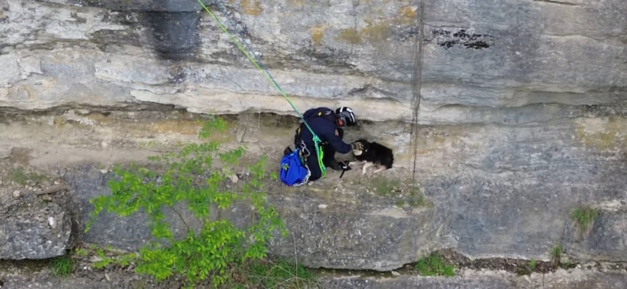 man saving a dog
