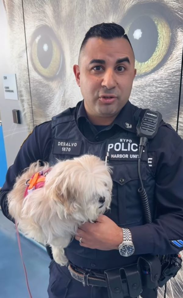officer and tiny white dog