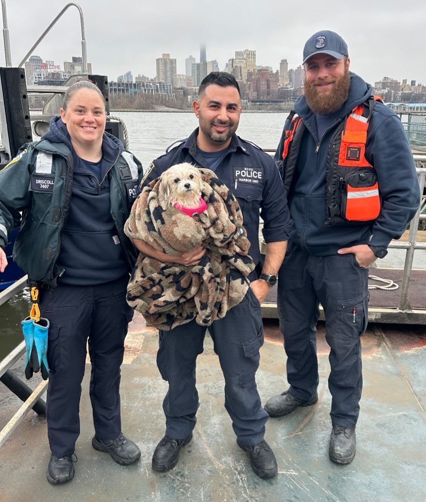 officers and dog