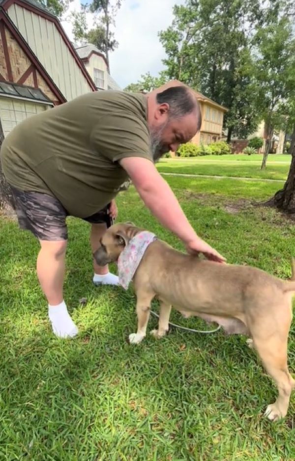 old man and abused dog
