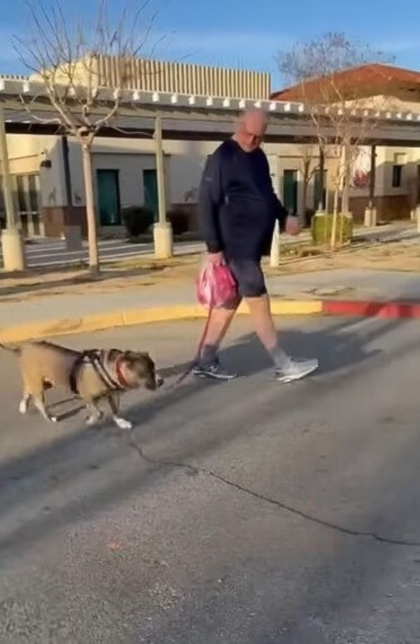 old man walking a dog