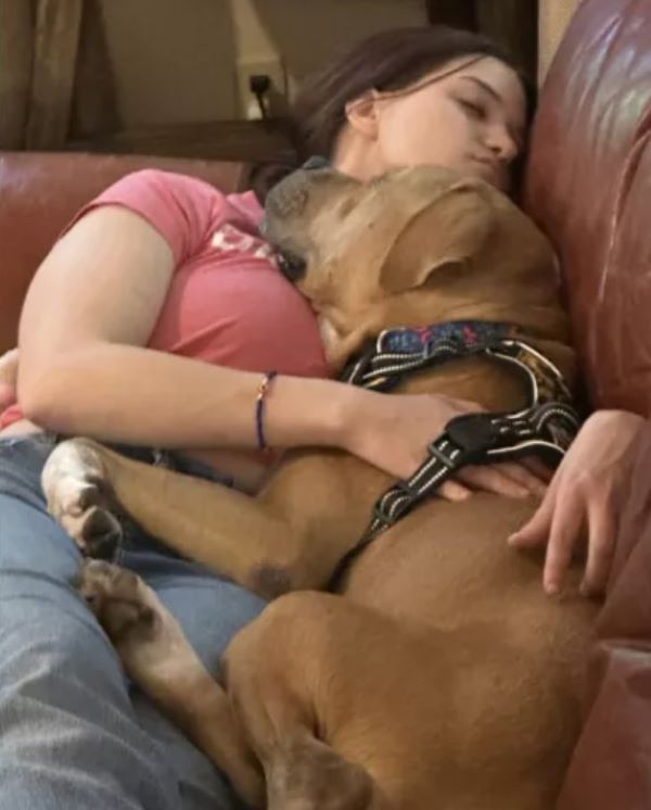 owner and dog sleeping together